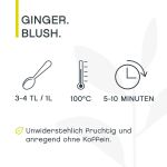 Ginger Blush, Früchtetee BIO, 125g Beutel