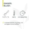 Ginger Blush, Früchtetee BIO, 125g Beutel