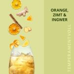 ETS - Botanicals for Gin "Orange, Zimt & Ingwer", BIO-Gewürzmischung, 7 Pyramiden-Beutel